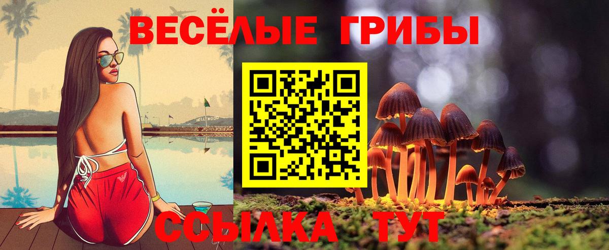 Славянск-на-Кубани  Галлюциногенные грибы мицелий  Вход с VPN 